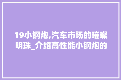 19小钢炮,汽车市场的璀璨明珠_介绍高性能小钢炮的奥秘
