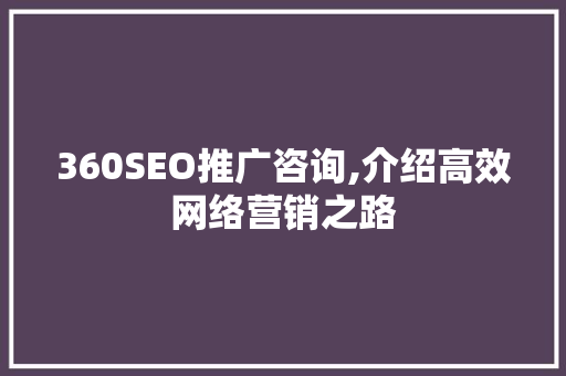 360SEO推广咨询,介绍高效网络营销之路