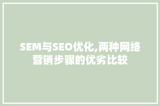 SEM与SEO优化,两种网络营销步骤的优劣比较  第1张