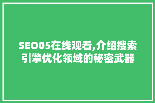 SEO05在线观看,介绍搜索引擎优化领域的秘密武器