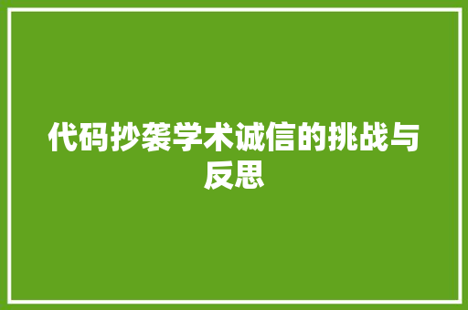 代码抄袭学术诚信的挑战与反思