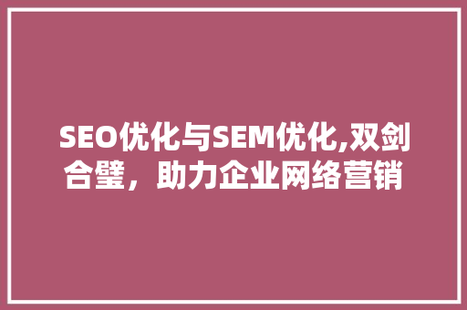 SEO优化与SEM优化,双剑合璧，助力企业网络营销
