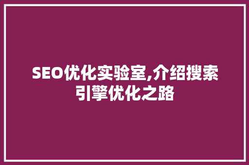 SEO优化实验室,介绍搜索引擎优化之路