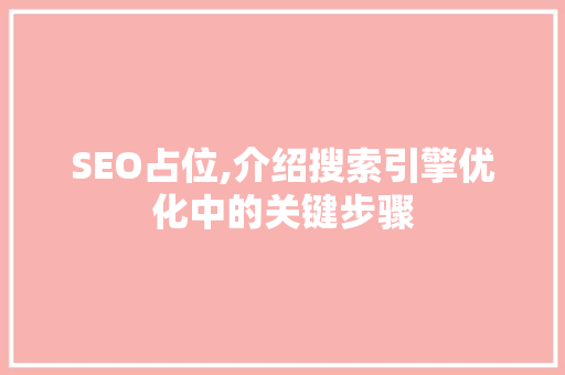SEO占位,介绍搜索引擎优化中的关键步骤