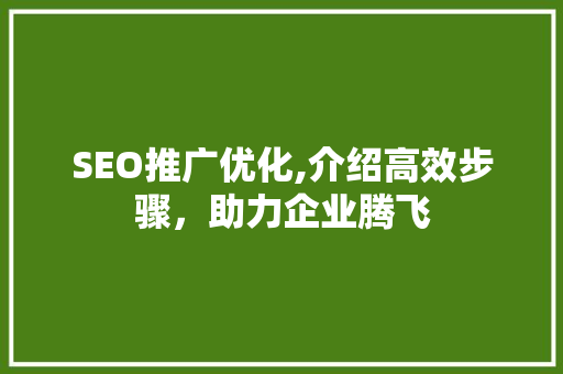SEO推广优化,介绍高效步骤，助力企业腾飞