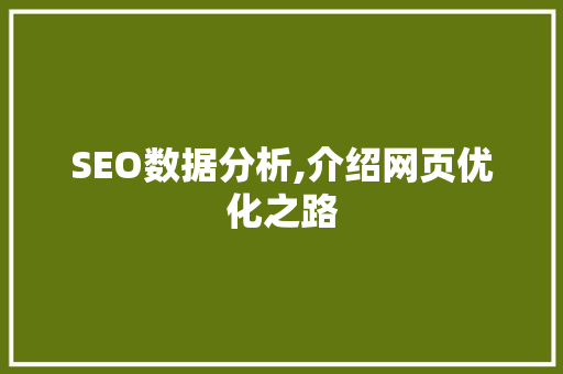 SEO数据分析,介绍网页优化之路
