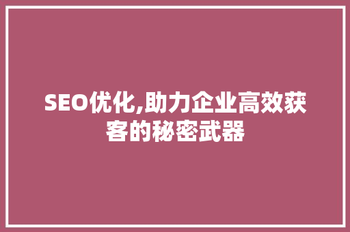 SEO优化,助力企业高效获客的秘密武器