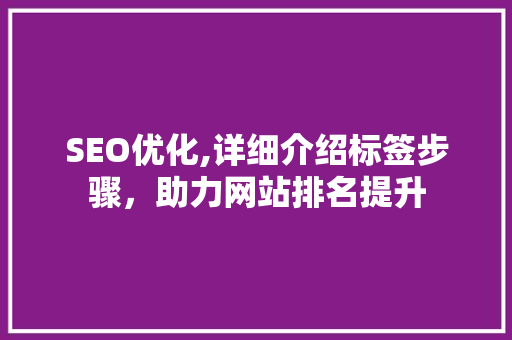 SEO优化,详细介绍标签步骤，助力网站排名提升