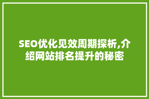 SEO优化见效周期探析,介绍网站排名提升的秘密