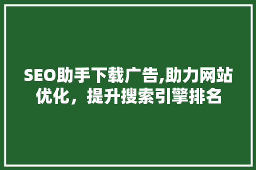 SEO助手下载广告,助力网站优化，提升搜索引擎排名