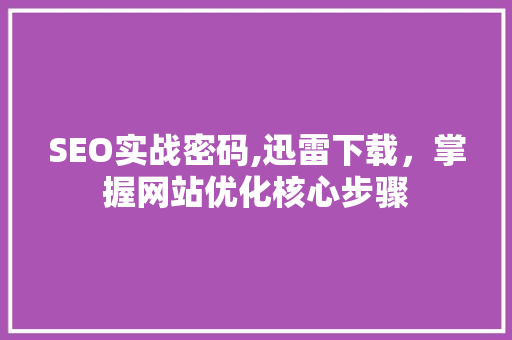 SEO实战密码,迅雷下载，掌握网站优化核心步骤