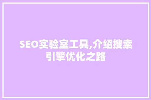 SEO实验室工具,介绍搜索引擎优化之路