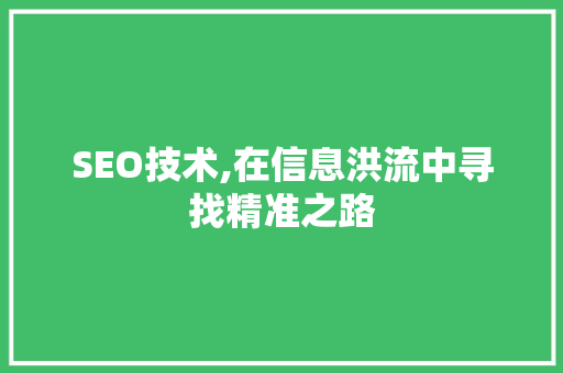 SEO技术,在信息洪流中寻找精准之路