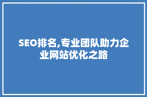 SEO排名,专业团队助力企业网站优化之路