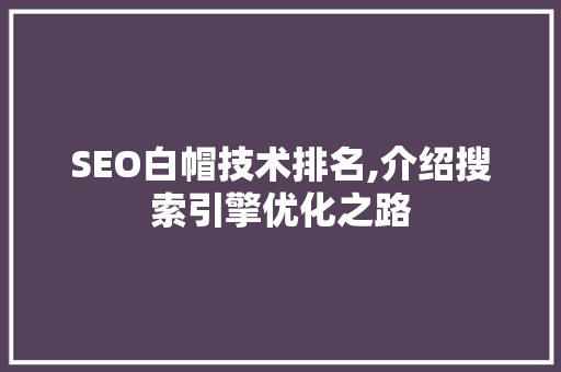 SEO白帽技术排名,介绍搜索引擎优化之路