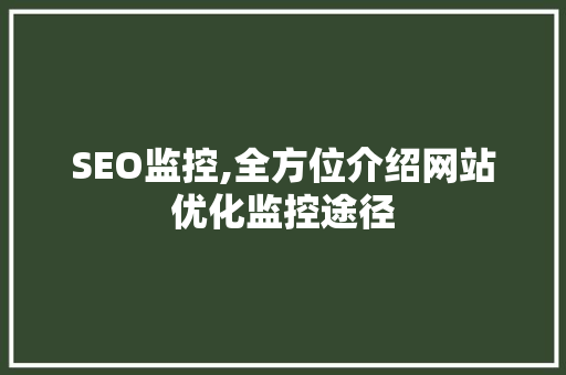SEO监控,全方位介绍网站优化监控途径
