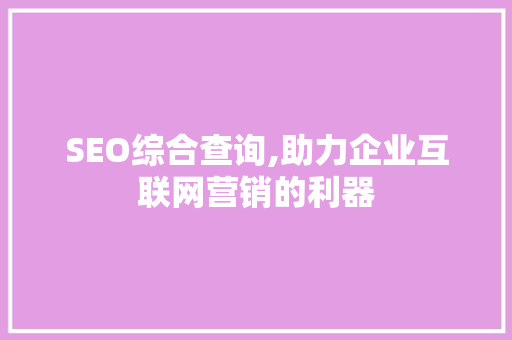 SEO综合查询,助力企业互联网营销的利器