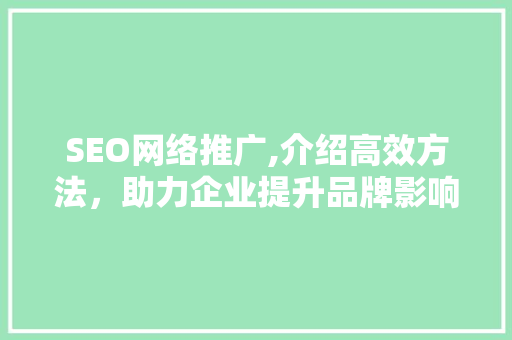 SEO网络推广,介绍高效方法，助力企业提升品牌影响力