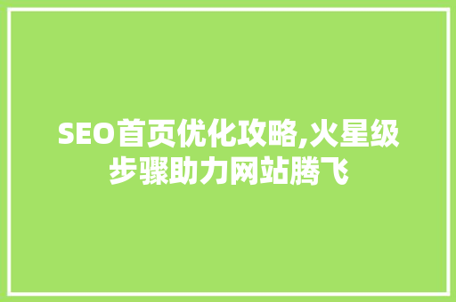 SEO首页优化攻略,火星级步骤助力网站腾飞