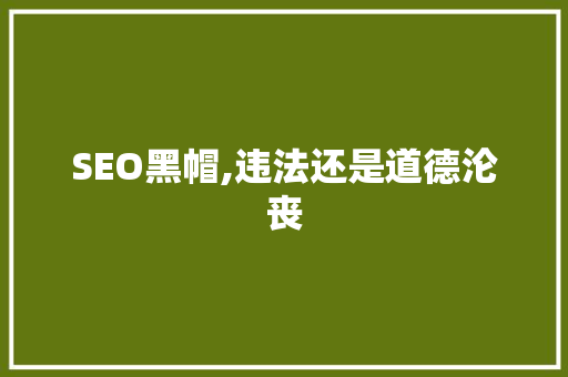 SEO黑帽,违法还是道德沦丧