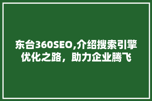东台360SEO,介绍搜索引擎优化之路，助力企业腾飞