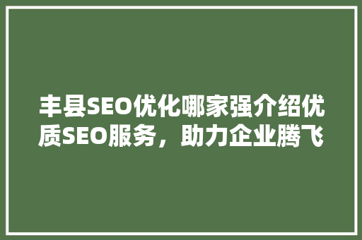 丰县SEO优化哪家强介绍优质SEO服务，助力企业腾飞