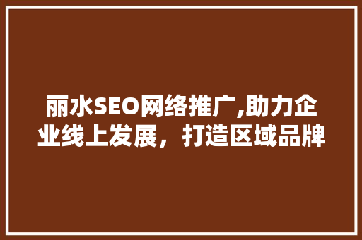 丽水SEO网络推广,助力企业线上发展，打造区域品牌新高度  第1张