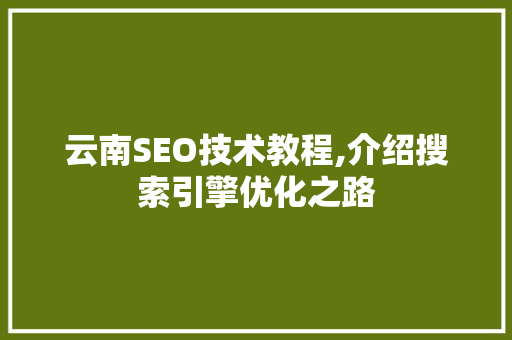 云南SEO技术教程,介绍搜索引擎优化之路