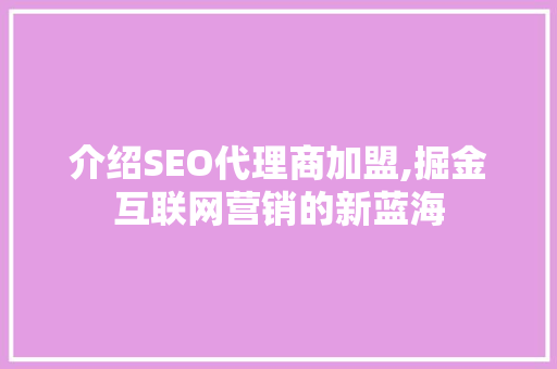 介绍SEO代理商加盟,掘金互联网营销的新蓝海