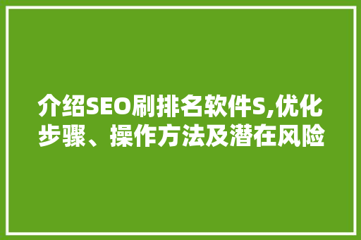 介绍SEO刷排名软件S,优化步骤、操作方法及潜在风险