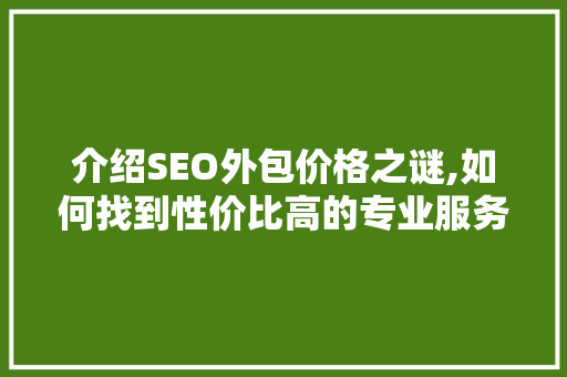 介绍SEO外包价格之谜,如何找到性价比高的专业服务