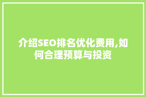 介绍SEO排名优化费用,如何合理预算与投资
