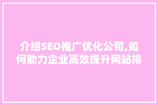 介绍SEO推广优化公司,如何助力企业高效提升网站排名  第1张