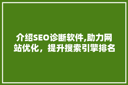 介绍SEO诊断软件,助力网站优化，提升搜索引擎排名  第1张