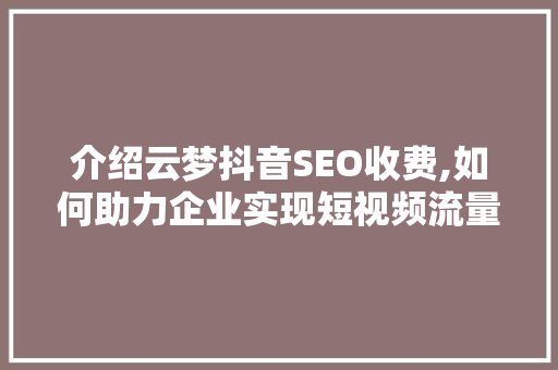介绍云梦抖音SEO收费,如何助力企业实现短视频流量最大化