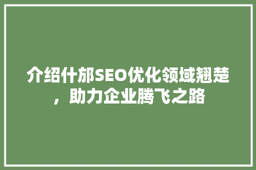 介绍什邡SEO优化领域翘楚，助力企业腾飞之路