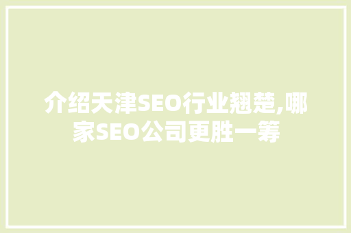 介绍天津SEO行业翘楚,哪家SEO公司更胜一筹