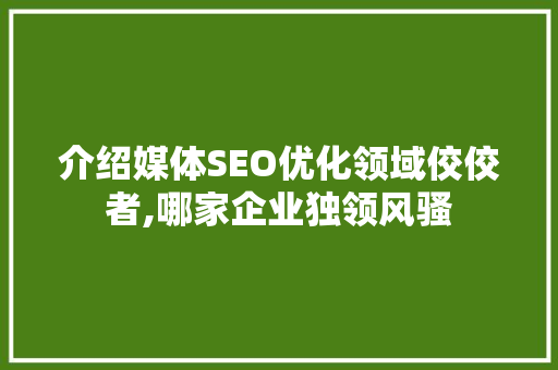 介绍媒体SEO优化领域佼佼者,哪家企业独领风骚