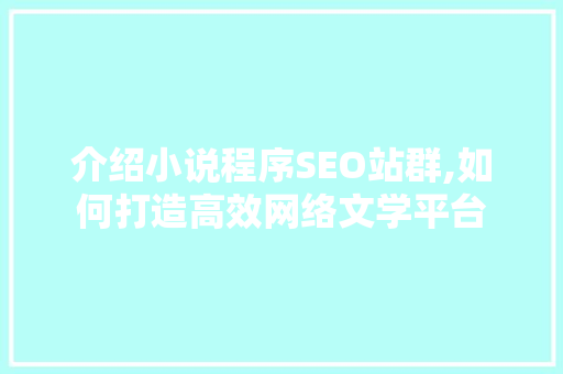 介绍小说程序SEO站群,如何打造高效网络文学平台