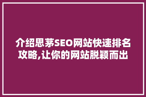 介绍思茅SEO网站快速排名攻略,让你的网站脱颖而出