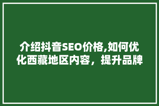 介绍抖音SEO价格,如何优化西藏地区内容，提升品牌曝光度  第1张