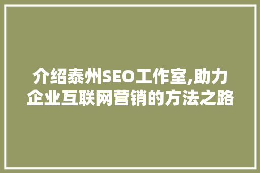 介绍泰州SEO工作室,助力企业互联网营销的方法之路
