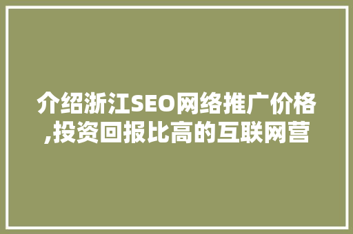 介绍浙江SEO网络推广价格,投资回报比高的互联网营销之路