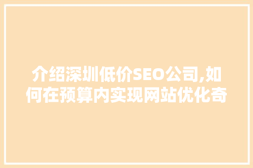 介绍深圳低价SEO公司,如何在预算内实现网站优化奇迹