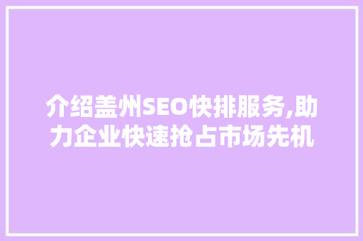 介绍盖州SEO快排服务,助力企业快速抢占市场先机