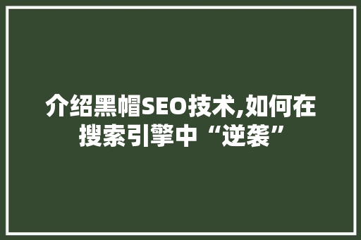介绍黑帽SEO技术,如何在搜索引擎中“逆袭”