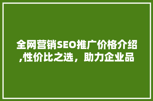 全网营销SEO推广价格介绍,性价比之选，助力企业品牌腾飞