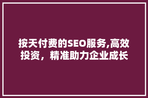 按天付费的SEO服务,高效投资，精准助力企业成长