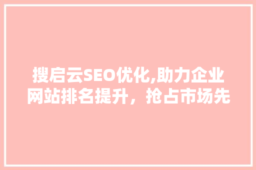 搜启云SEO优化,助力企业网站排名提升，抢占市场先机  第1张
