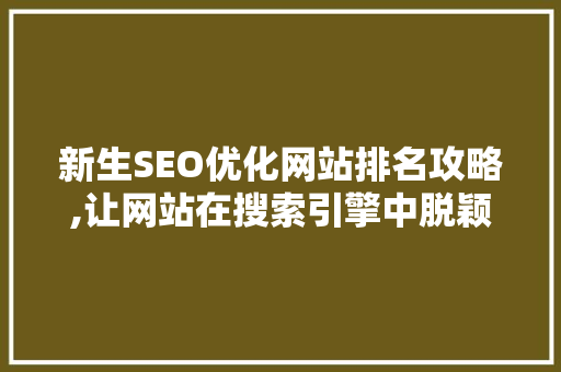 新生SEO优化网站排名攻略,让网站在搜索引擎中脱颖而出  第1张